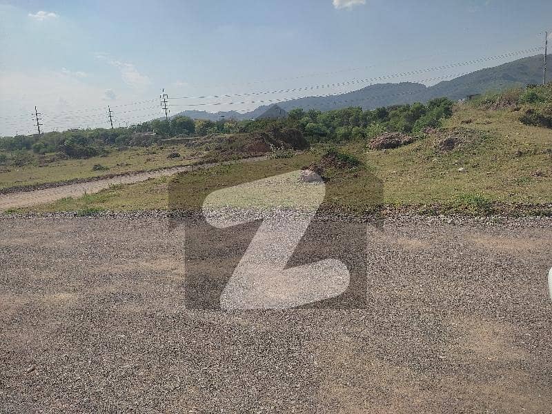 PLOT FOR SALE IN C 16 PLOT FOR SALE IN C 16