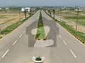5 5