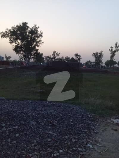 2 Kanal Prime Residential Plot For Sale In Government Cooperative Officers Society