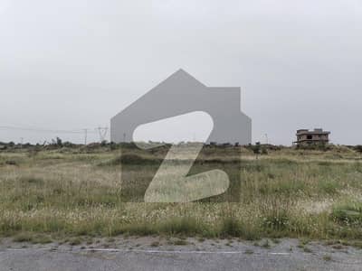 Plot Available For Sale In Wapda Town