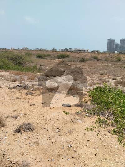 Plot For Sale 1000 Square Yards In Dha Phase 8