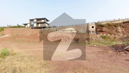 5 Kanal Corner Plot For Sale In Sector B 5 Kanal Corner Plot For Sale In Sector B