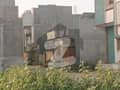 5 5