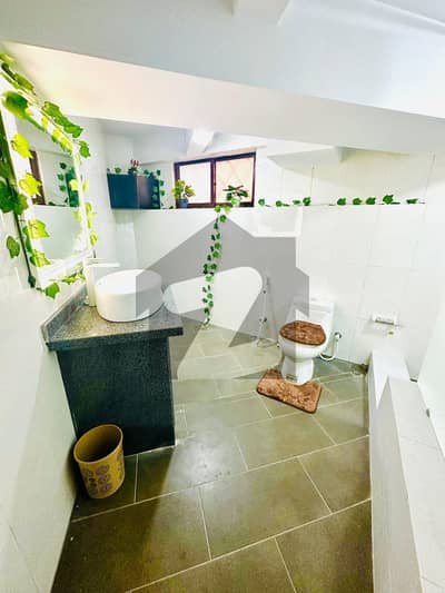 Fully Renovated With Peacful Flat And Clean Building
