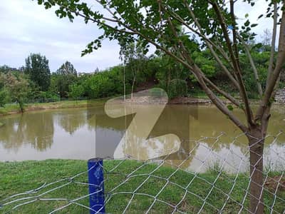 Beautifully located corner plot available for sale