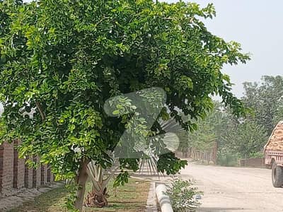 30 Marla Residential Plot For Sale