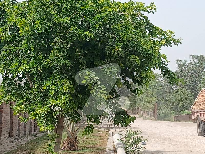 30 Marla Residential Plot For Sale 30 Marla Residential Plot For Sale