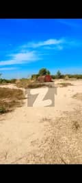 4 4