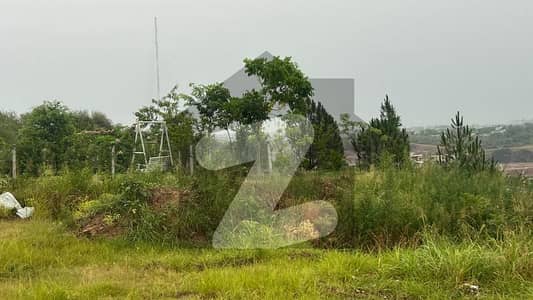 23marla plot available for sale in DHA 3 sctor B