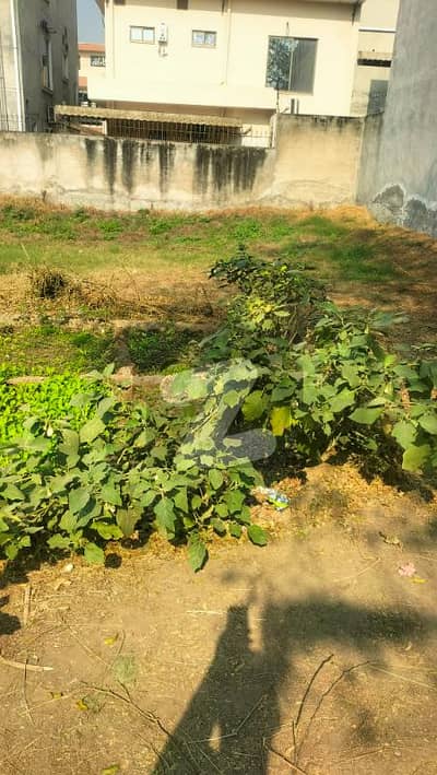 5 Marla Plot For Sale