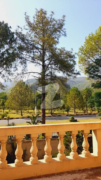 Fully Furnished House For Rent On Margalla Road F-7 Islamabad