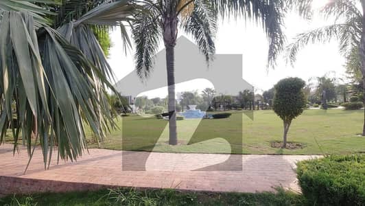 1 Kanal Plot, Back Open Near Commerical Available For Sale
