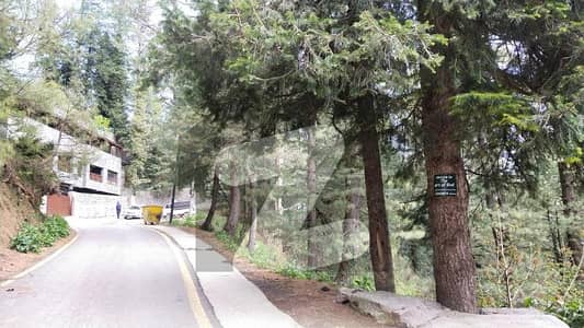 10 Marla House Muskhpuri / Donga Gali ( Best Investment )