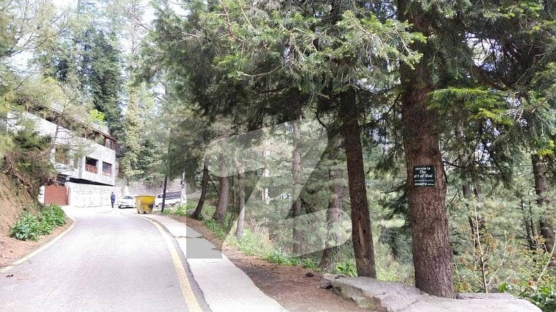 10 Marla House Muskhpuri / Donga Gali ( Best Investment ) 10 Marla House Muskhpuri / Donga Gali ( Best Investment )