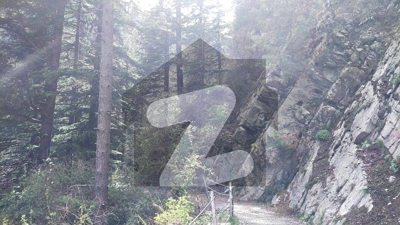 2 2