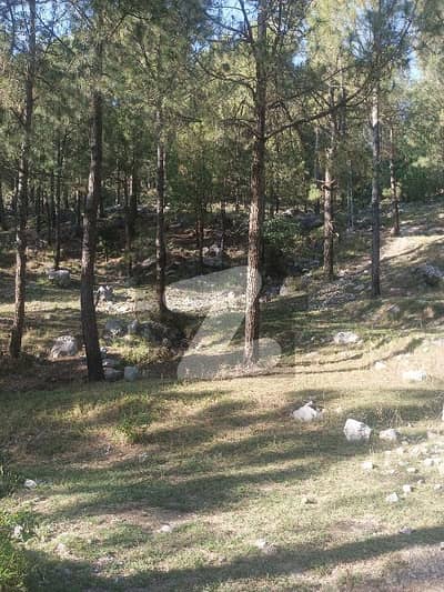 100 Kanal Land For Sale 100 Kanal Land For Sale