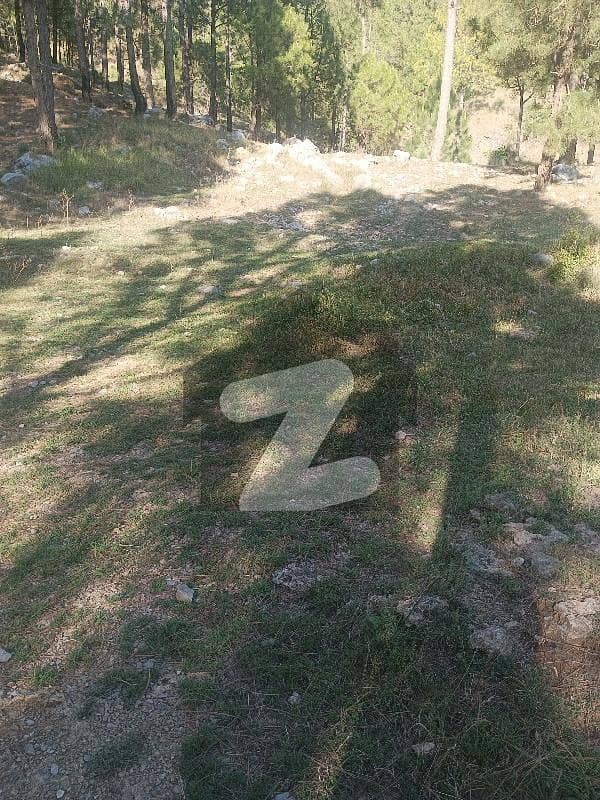 2 2