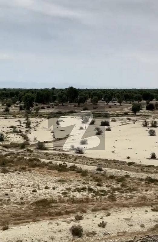 4 Kanal Commercial Land in Mouza Shanakani Dar Gwadar 4 Kanal Commercial Land in Mouza Shanakani Dar Gwadar