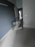 5 5