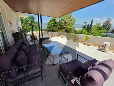 Luxurious Tastefully Furnished Apartment with Private Patio & Rooftop Terrace
