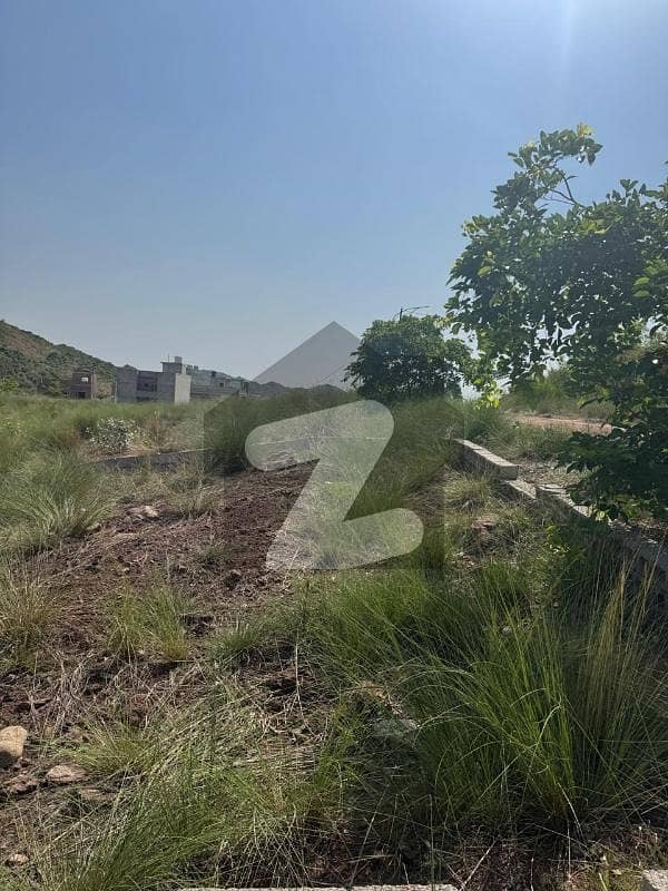 5 Marla Plot For Sale Bani Gala Yar Muhammad 5 Marla Plot For Sale Bani Gala Yar Muhammad