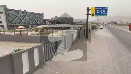 Early Bird Plot For Sale