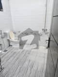 5 5