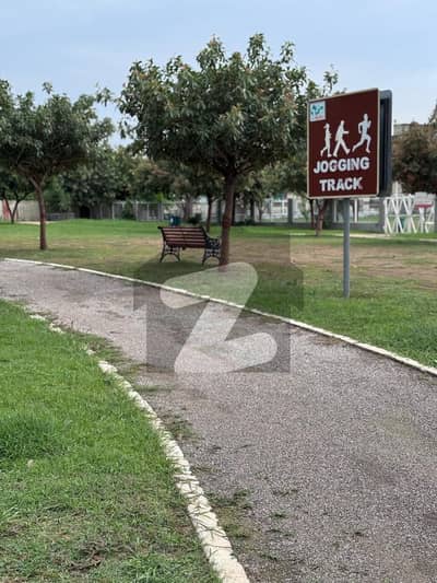Best-Priced 7 Marla Plot in D Block MPCHS