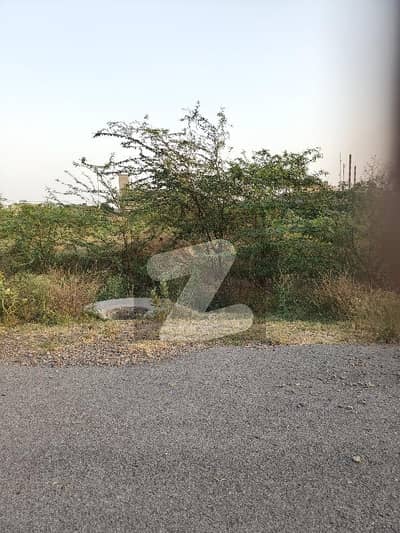 Phase 9 Prism One Kanal Plot VIP Location Reasonable Price