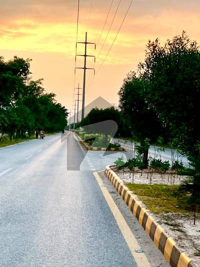 1 Kanal Plot Available For Sale In Regi Model Town Zone 4 Peshawar