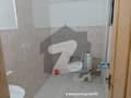 7 7