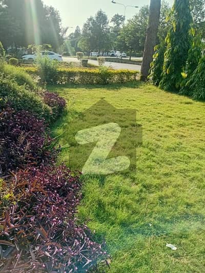 Beautiful Location Upper Portion For Rent in F-11/1
