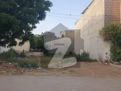 West-open,Green-belt facing plot for sale in a well developed sector