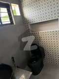 11 11