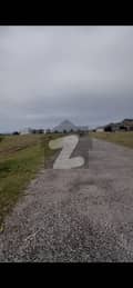 1 1