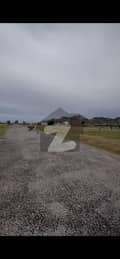 7 7