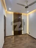 24 