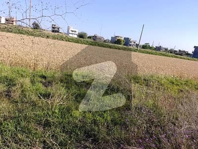 5 Marla Level Plot Near I-16/4 Markaz