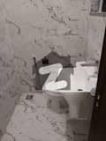 7 7