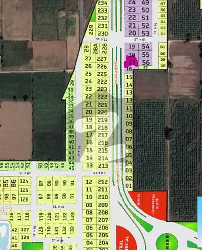 SOLID GROUND PLOT