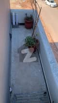 3 3