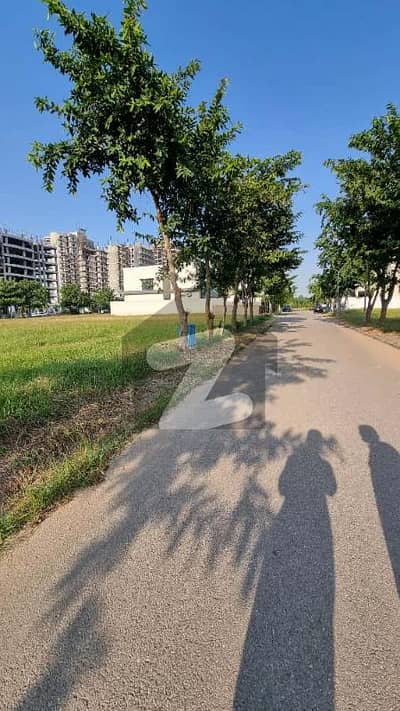Kanal Plot For Sale Best Location Solid Land Kanal Plot For Sale Best Location Solid Land
