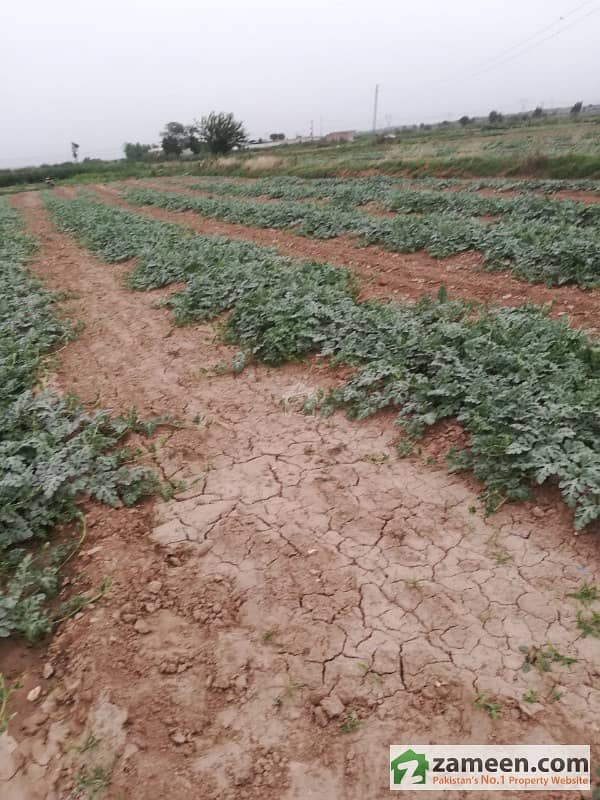 335 Kanal Dairy Farm For Sale Near Adiala Road Rawalpindi Adiala Road