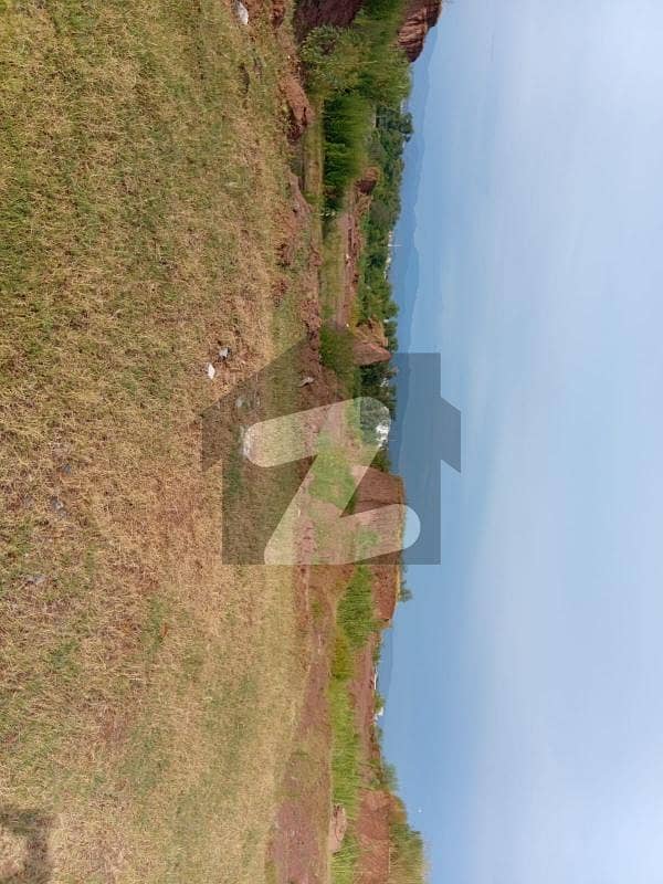 plot for sale plot for sale