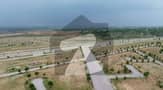 5 5