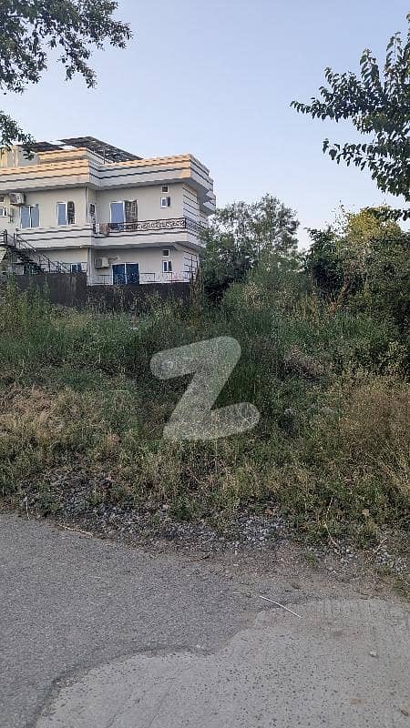 5 5