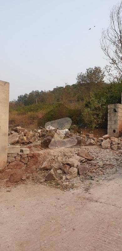PINE CITY 1 KANAL POSSESSIONABLE PLOT FOR SALE