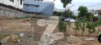 8 8
