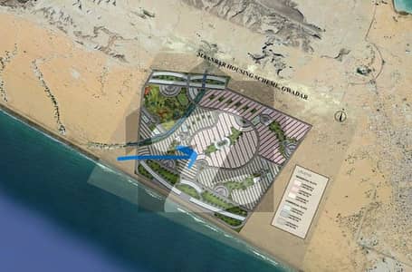 Investor Deal 240 Sq. Yd. Plot In Prime Block D Location