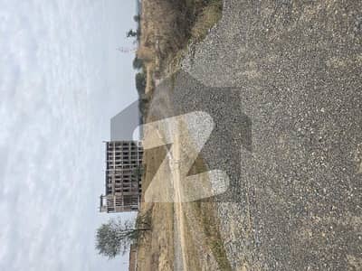 Corner Commercial Plot